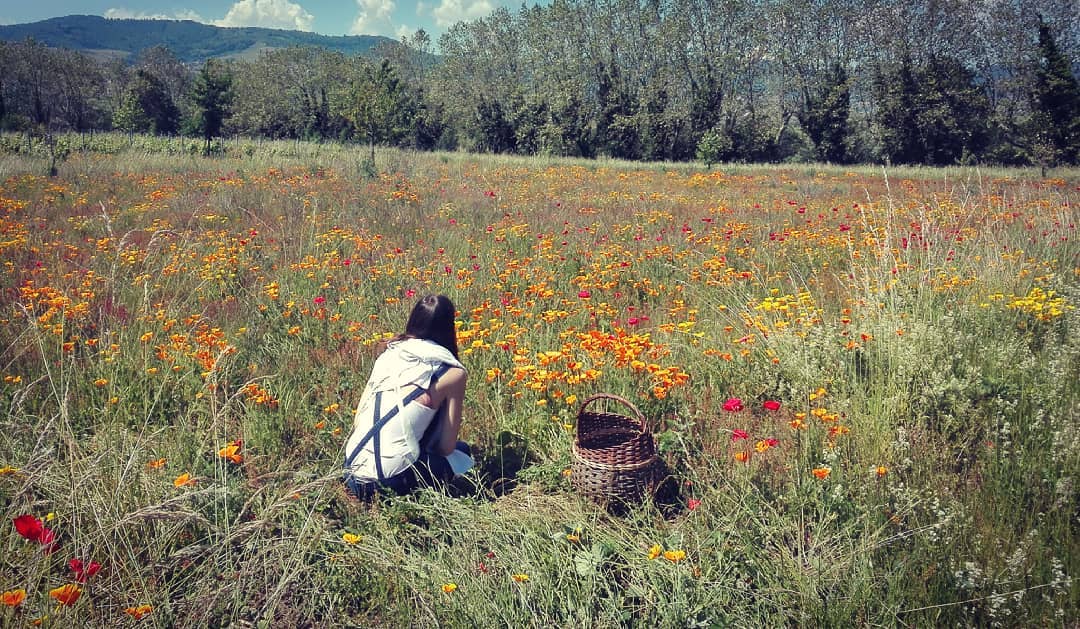 FRANCE IN valeurs blog made in france elixirlab