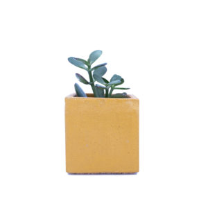 Pot à succulente_jaune