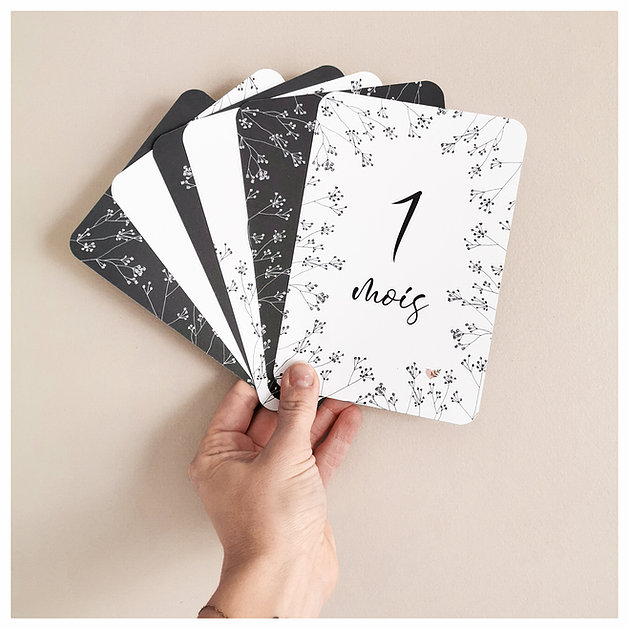 a93e5b_1510494567cf436083d999a8dfccf906_mv2