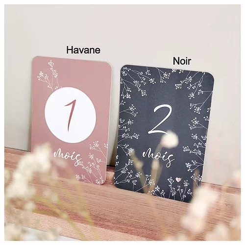 a93e5b_192d0e151ec94f3c93f70a68fbfab16f_mv2 cartes grossesse france