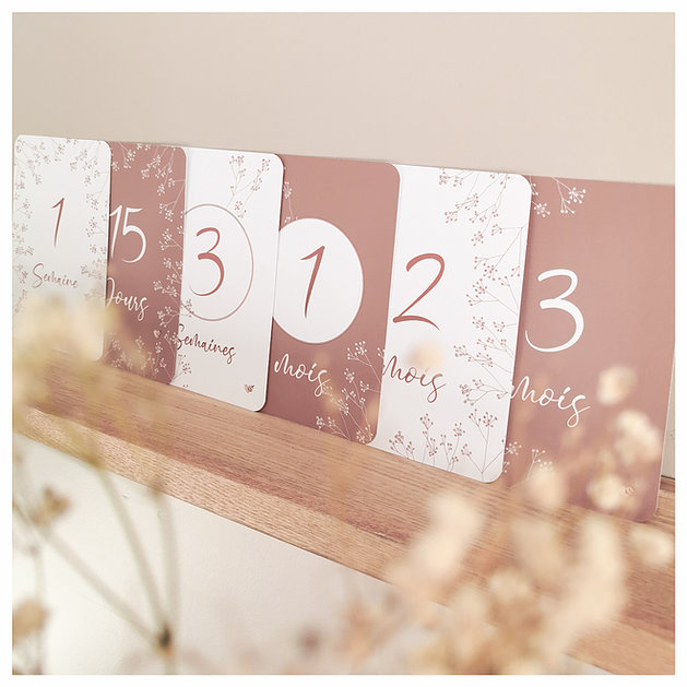 a93e5b_1c862488ce4f4d66ba6f97298a01d3fd_mv2