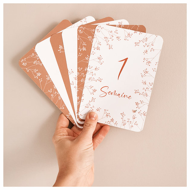 a93e5b_81a97357408940bd8f4b0fdef1ae24df_mv2 cartes grossesse france