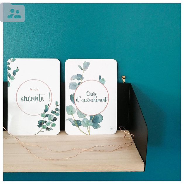 a93e5b_f3f3251bb5864920a436971f5f720998_mv2_d_2961_2962_s_4_2 cartes grossesse france nature